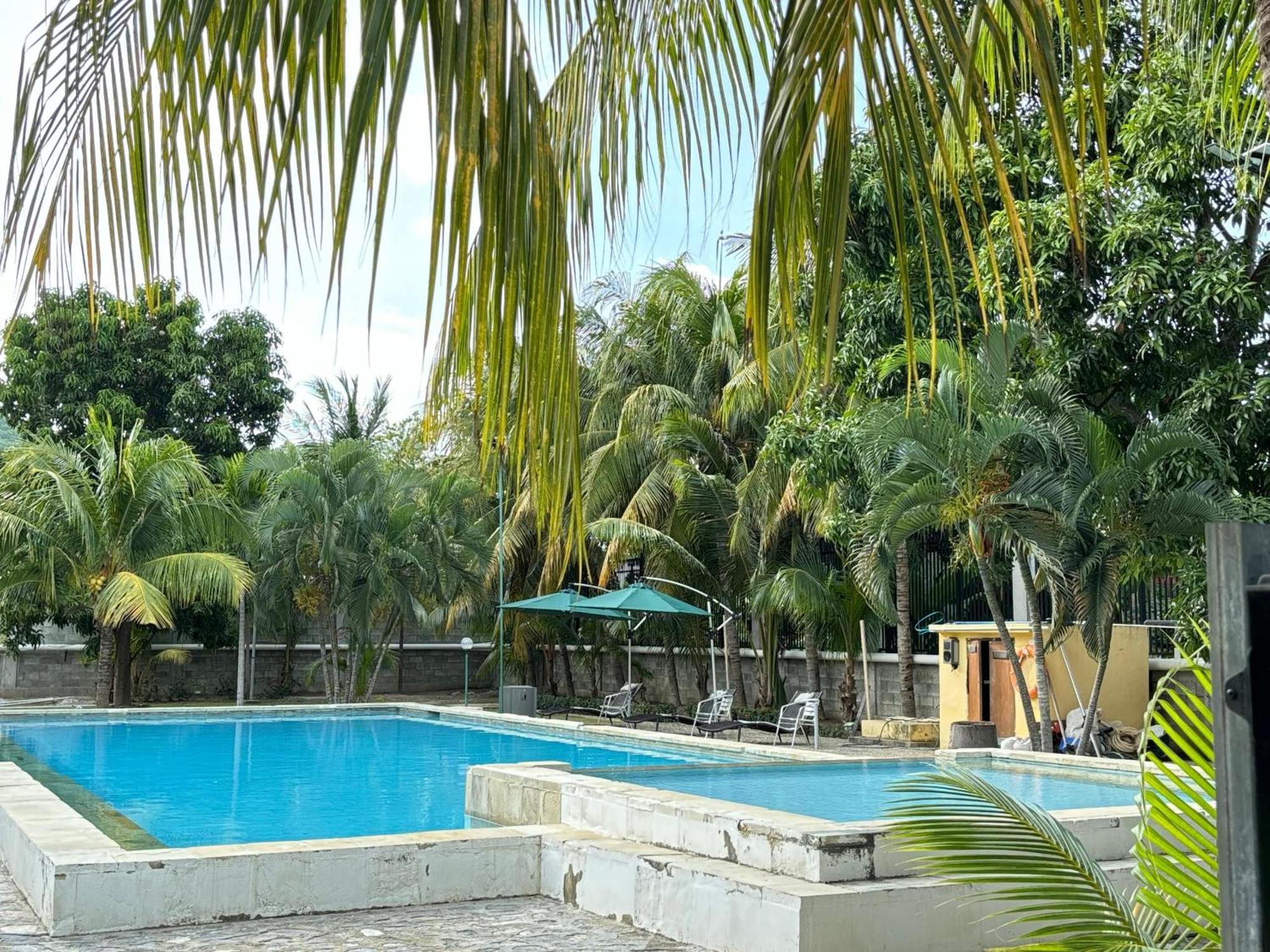 Palm Malinamoc Hotel ديلي المظهر الخارجي الصورة