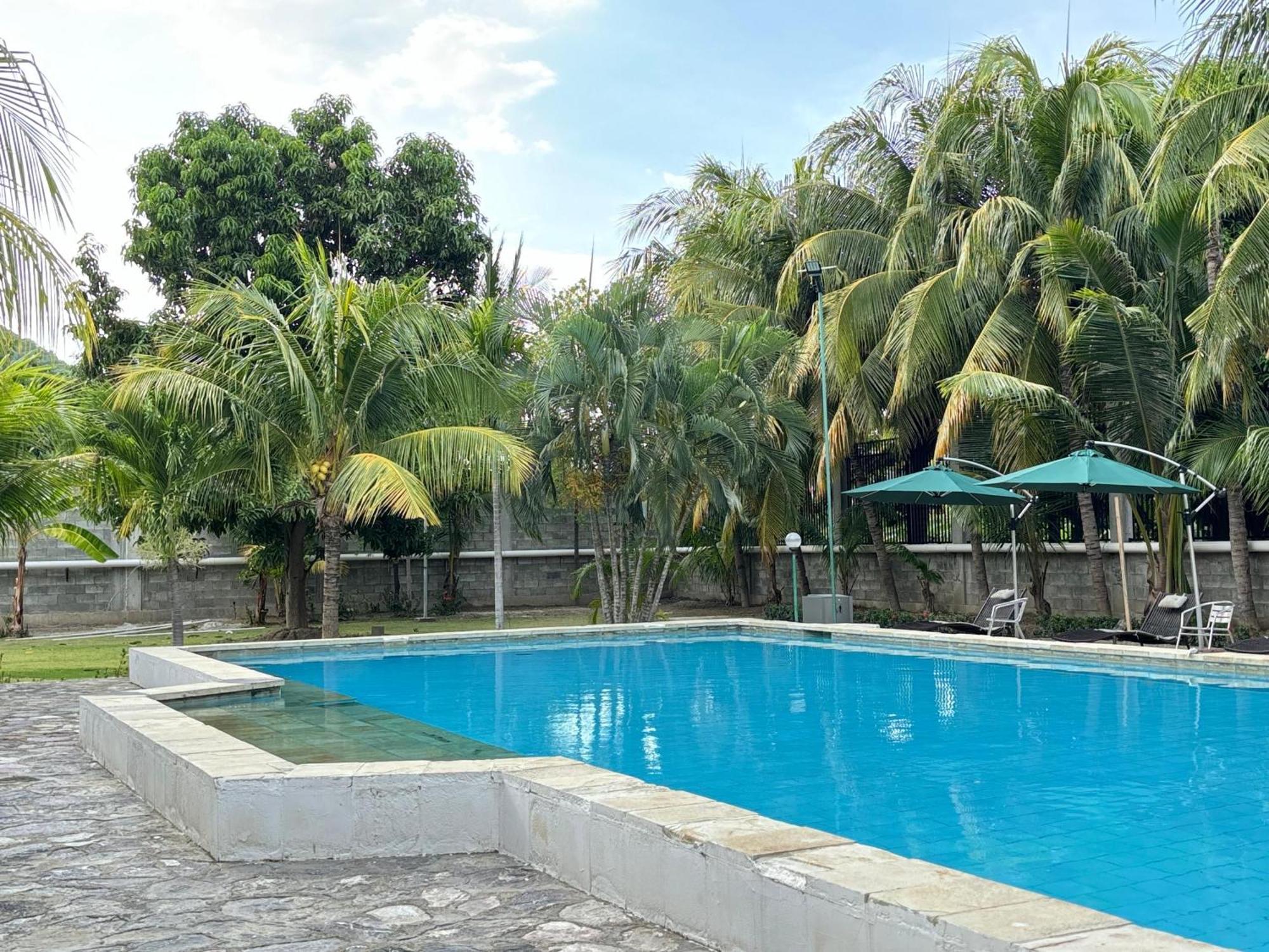 Palm Malinamoc Hotel ديلي المظهر الخارجي الصورة