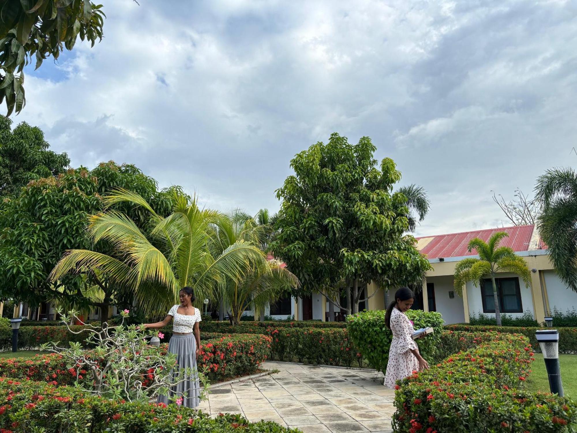 Palm Malinamoc Hotel ديلي المظهر الخارجي الصورة