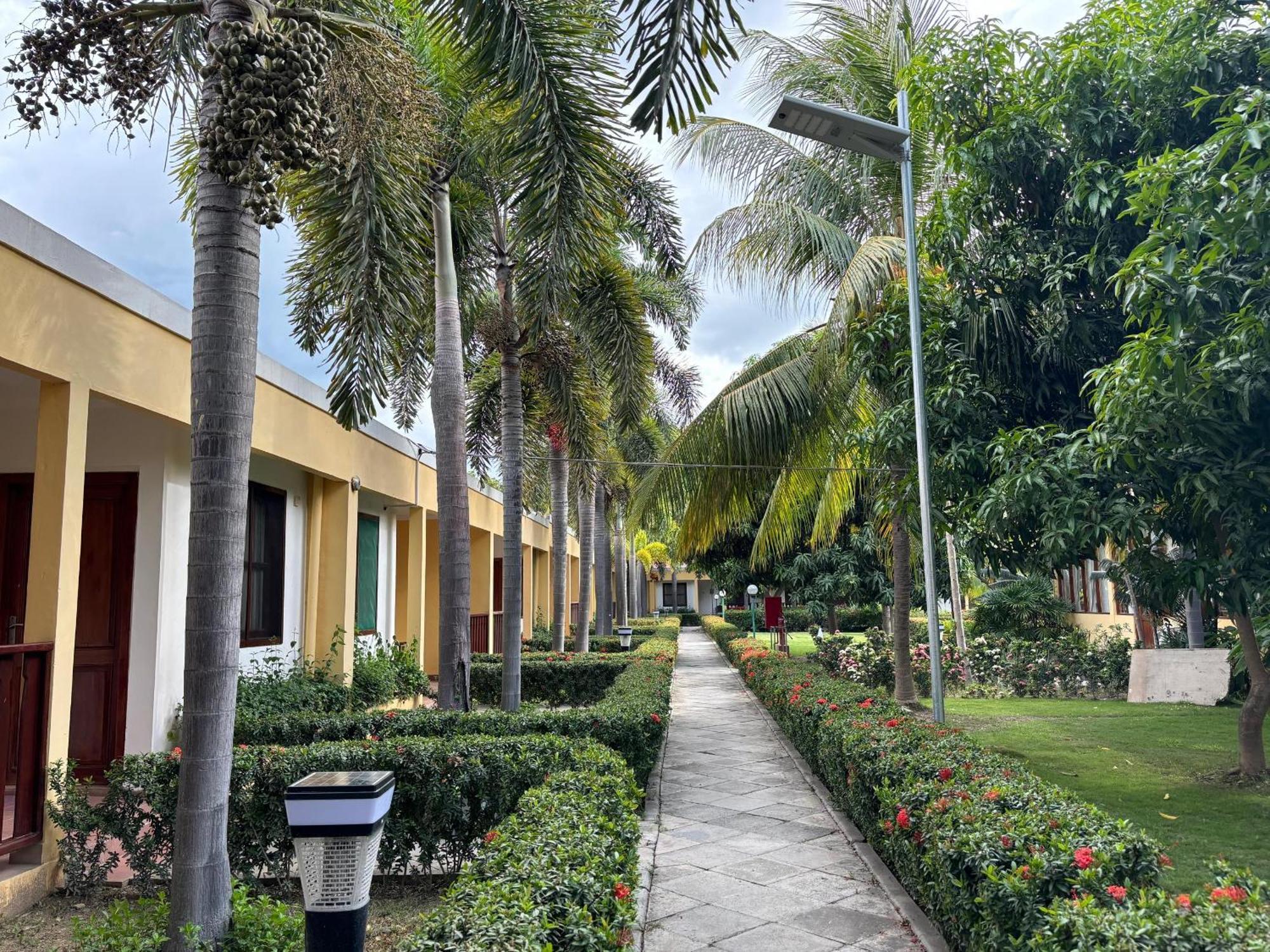 Palm Malinamoc Hotel ديلي المظهر الخارجي الصورة