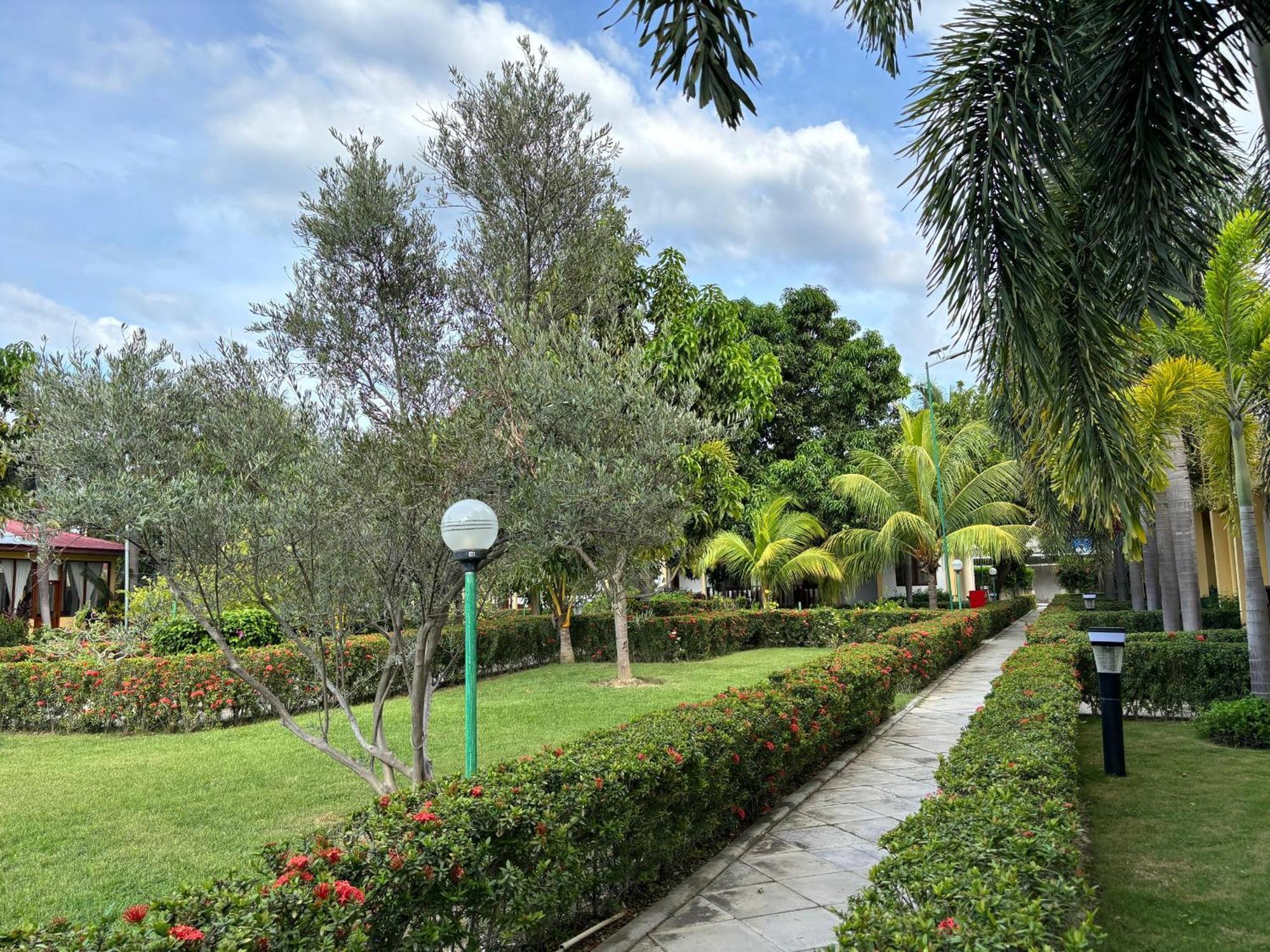 Palm Malinamoc Hotel ديلي المظهر الخارجي الصورة
